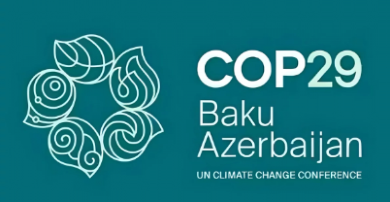 Conference of the Parties (COP 29)